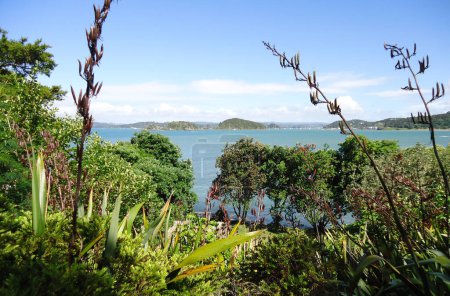 Photo for Nature and garden at Waitangi Treaty Grounds, North Island, New Zealand. - Royalty Free Image