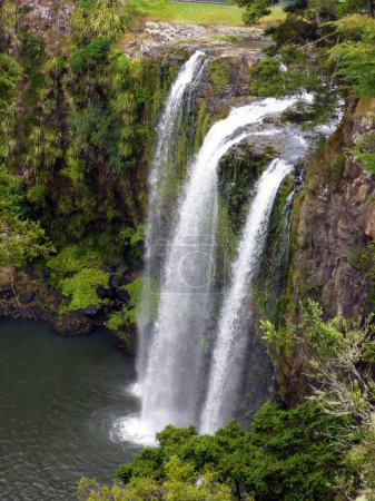 Foto de Whangarei Falls at Hatea River, North Island, New Zealand. - Imagen libre de derechos