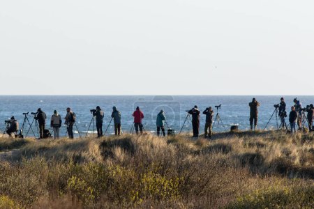 Foto de Observadores de aves al amanecer, en Skagen en el norte de Jutlandia, Dinamarca. - Imagen libre de derechos