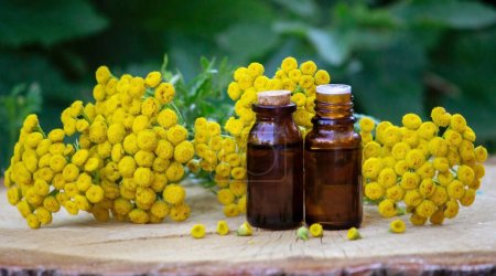 Photo for Essential oil from the immortelle plant. nature selective focus - Royalty Free Image