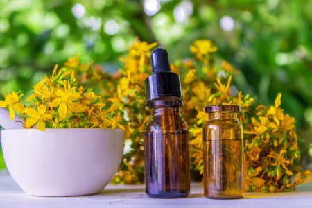 Photo for St. John's wort essential oil in a small bottle. Selective focus. Nature. - Royalty Free Image
