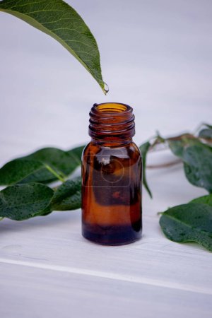 Photo for Herbal essential oil in a small bottle. Selective focus. nature - Royalty Free Image