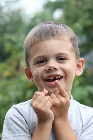 Photo for The child lost a tooth. Selective focus. Kid.Concept baby tooth - Royalty Free Image