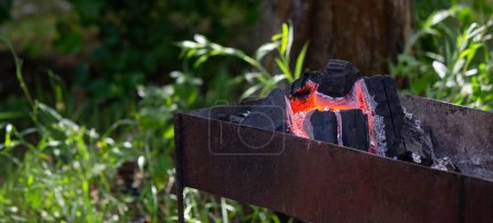 le bois de chauffage brûle dans le barbecue.