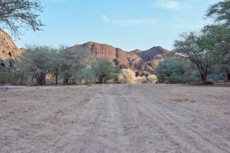 Photo for The dry Ugab is an ephemeral river in the arid region of Damaraland Namibia - Royalty Free Image