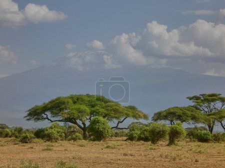 View on Mount Kilimanjaro with clouds cover on its peak from Amboseli National Park Kenya