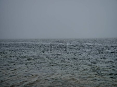 Téléchargez les photos : Littoral de l'océan Atlantique le long des rives de l'Écosse au phare de Chanonry, célèbre pour les dauphins à marée haute. - en image libre de droit