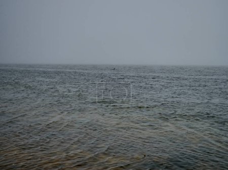 Téléchargez les photos : Littoral de l'océan Atlantique le long des rives de l'Écosse au phare de Chanonry, célèbre pour les dauphins à marée haute. - en image libre de droit