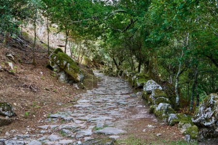 alte Kopfsteinpflasterstraße zum antiken römischen Ponte Mizarela, oder Teufelsbrücke mit einem schönen Bogen und malerischem Wasserfall, im Peneda Geres Nationalpark in Portugal, Europa