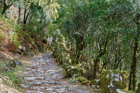 old cobblestone road towards the ancient roman Ponte Mizarela, or Devils Bridge with a beautiful arch and picturesque waterfall, at the Peneda Geres National Park in Portugal, Europe