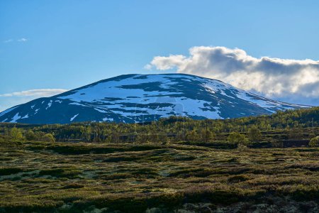 Landscape of cold harsh tundra in Dovrefjell Sunndalsfjella national park near Oppdal in the highlands of Norway.