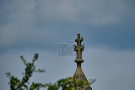 family of common kestrel, Falco tinnunculus, a bird of prey species, sitting high on top of medieval german church on a stone cross, enjoying the sun.