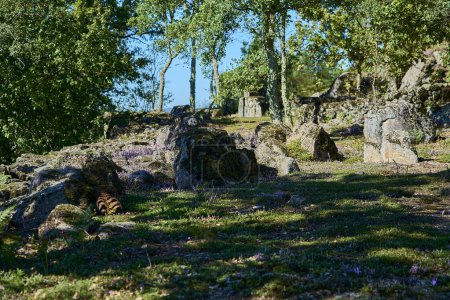 Braga, Portugal - 09 30 2022: Sitio arqueológico de las ruinas romanas históricas de Citania de Briteiros cerca de Guimaraes y Braga, situado en lo alto de la colina con vistas al paisaje.
