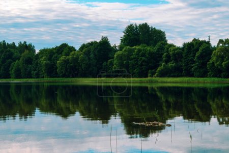 Rive du lac avec des arbres verts et des herbes aquatiques, ciel bleu avec des nuages blancs en arrière-plan. Le reflet des arbres verts peut être vu dans l'eau calme du lac.