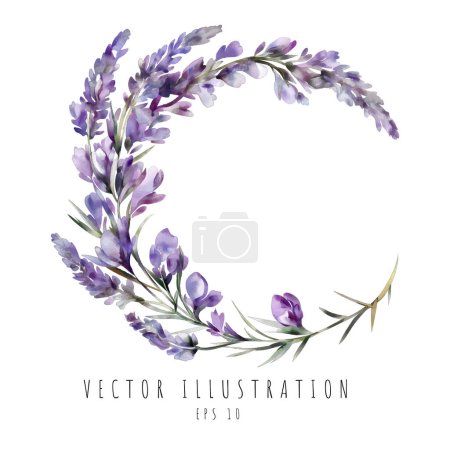 Illustration for Lavender curve watercolor digital painting isolated on white background. Vector illustration - Royalty Free Image