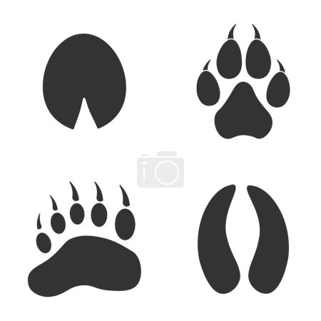 Illustration for Footprints of Forest Animal, Traces of a Roe Deer, Wolf, Bear, Wild horse on white background.  Silhouette animal tracks in grar. Paw Print for your  design. Vector illustration. EPS10. - Royalty Free Image