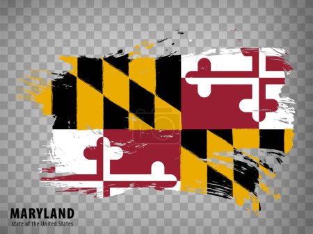 Illustration for Flag of Maryland from brush strokes. United States of America.  Waving flag Maryland with title on transparent background for your web site design, app, UI. Stock vector. Vector illustration. EPS10. - Royalty Free Image