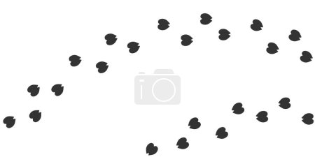 Footprints of amel, Traces of a  desert mammal on white background. amel silhouette animal tracks. Paw Print. Vector illustration. EPS 10.