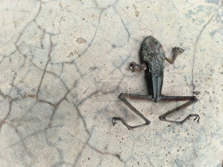 A dried roadkill carcass of a frog lies on the concrete, its limbs splayed out. The once vibrant skin is now a shriveled, darkened remnant against the rough, gray surface.