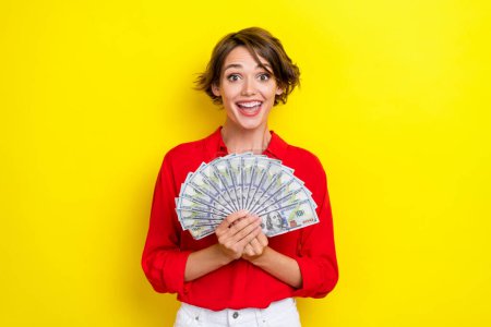 Portrait of crazy surprised person hands hold dollar banknotes bills toothy smile isolated on yellow color background.