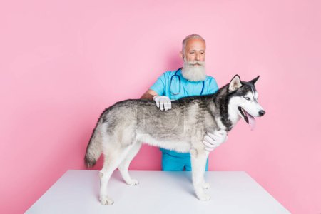 Photo of serious confident senior man doc dressed blue uniform checking dog health isolated pink color background. Poster 623999370