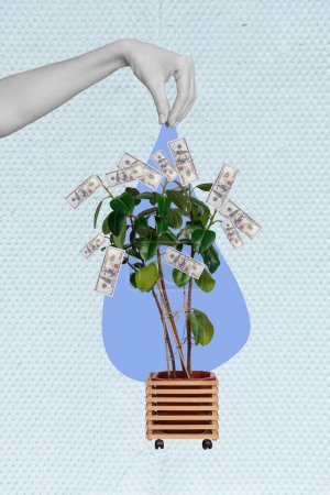 Vertical collage image of black white gamma human arm put water drop money tree plant dollar banknotes leaf isolated on creative background.