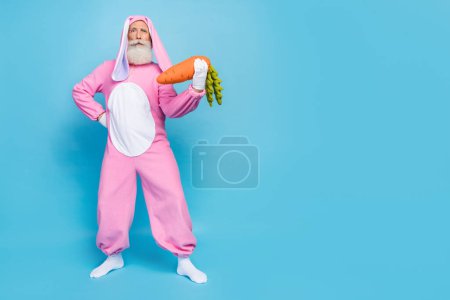 Ganzes Foto von coolen ernsthaften Rentner Kerl gekleidet Hase kigurumi halten Karotte leeren Raum isoliert blaue Farbe Hintergrund.