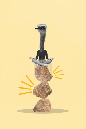 Vertical creative composite photo collage of strange headless girl ostrich head sit on rocks meditating isolated yellow color background.
