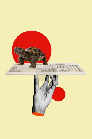 Collage d'?uvres d'art créatives composites d'antiquités miniatures drôle tortue animal clavier mécanique dispositif isolé sur fond de couleur beige.