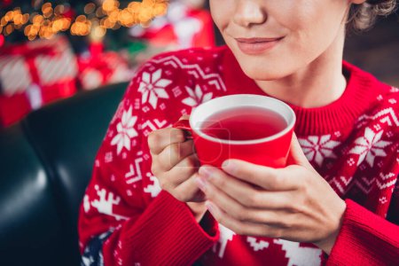 Cropped photo picture of smiling cute lady drinking raspberry tea new year atmosphere tradition warmth isolated on blur background.