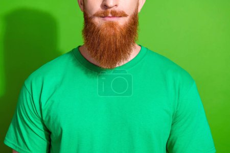 Close up photo of handsome serious good mood man with ginger long beard dressed stylish green t-shirt isolated on green color background.