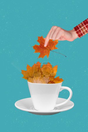 Composite Trend Artwork Skizze Bild 3D Fotocollage der Herbstsaison riesige Hand halten Ahornblätter sammeln zusammen in Kaffeebecher.