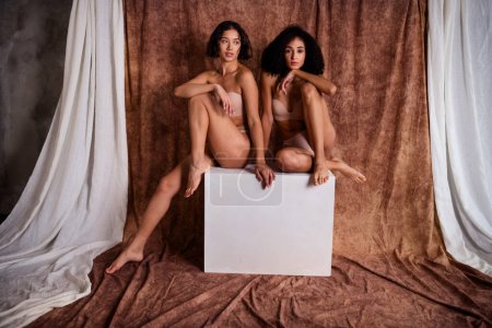 Full body photo of two tanned girls wearing pure beige lingerie and posing when sit podium isolated on brown background.