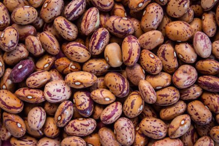 Photo for Kidney beans background. Top view of dried kidney beans. - Royalty Free Image