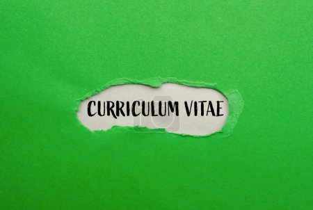 Curriculum vitae mots écrits sur papier vert déchiré avec fond gris. curriculum vitae conceptuel symbole CV. Espace de copie.