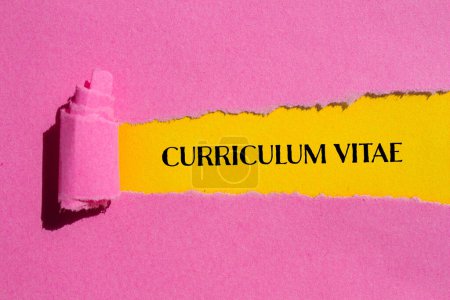 Curriculum vitae mots écrits sur papier rose déchiré avec fond jaune. Curriculum vitae conceptuel symbole. Espace de copie.