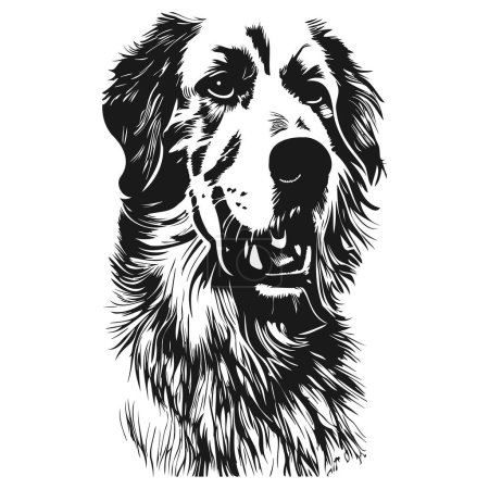 Illustration for Golden retriever vector art hand drawn vector black and whit - Royalty Free Image