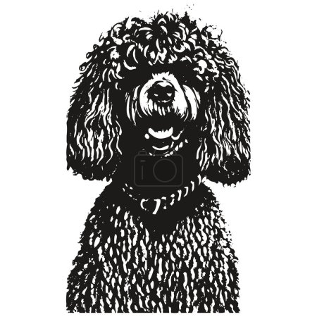 Téléchargez les illustrations : Poodle clip art vecteur dessiné à la main, dessin noir et blanc de do - en licence libre de droit