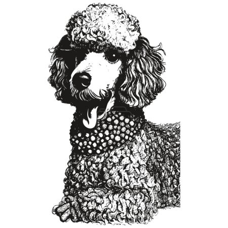 Poodle vector retrato dibujado a mano vector, dibujo en blanco y negro de do
