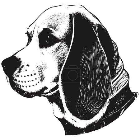 Beagle cartoon face image hand drawn ,black and white drawing of do