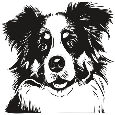 Téléchargez les illustrations : Australian Shepherd chien illustration dessinée à la main, noir et blanc vecteur animaux de compagnie logo ligne ar - en licence libre de droit