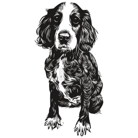 Illustration for Spaniel English Springer dog black and white vector logo, line art hand drawn vector pets illustratio - Royalty Free Image