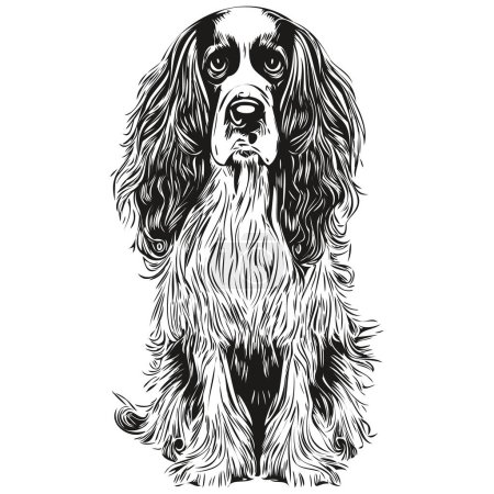 Illustration for Spaniel English Springer dog hand drawn illustration, black and white vector pets logo line ar - Royalty Free Image