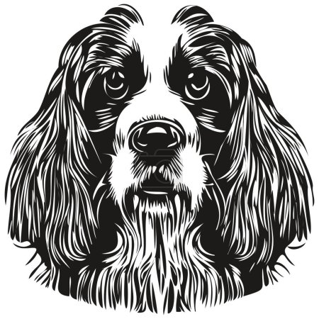Illustration for Spaniel English Springer dog hand drawn illustration, black and white vector pets logo line ar - Royalty Free Image