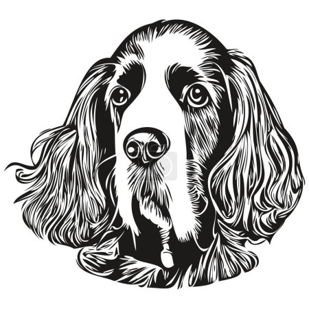 Illustration for Spaniel English Springer dog hand drawn line art vector drawing black and white logo pets illustratio - Royalty Free Image