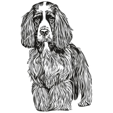 Illustration for Spaniel English Springer dog hand drawn logo line art vector drawing black and white pets illustratio - Royalty Free Image