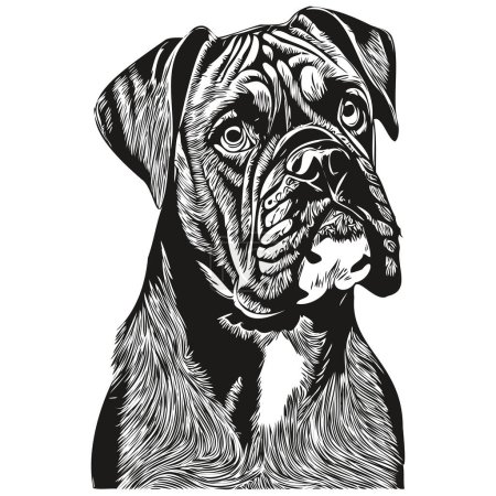 Illustration for Boxer dog hand drawn logo line art vector drawing black and white pets illustratio - Royalty Free Image