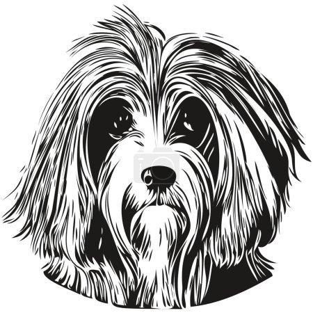 Photo for Havanese dog hand drawn vector logo drawing black and white line art pets illustratio - Royalty Free Image