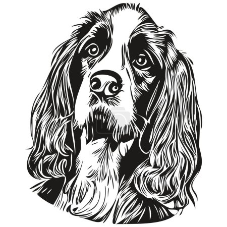 Illustration for Spaniel English Springer dog hand drawn vector line art drawing black and white logo pets illustratio - Royalty Free Image