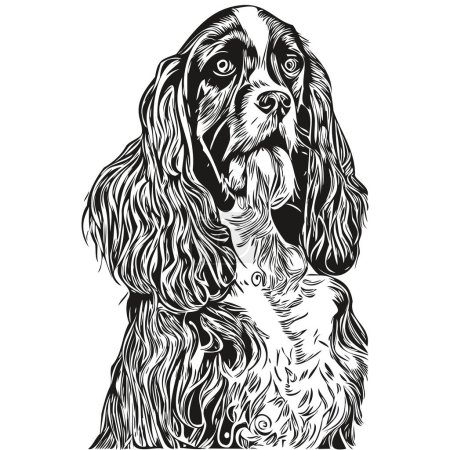 Illustration for Spaniel English Springer dog hand drawn vector line art drawing black and white logo pets illustratio - Royalty Free Image